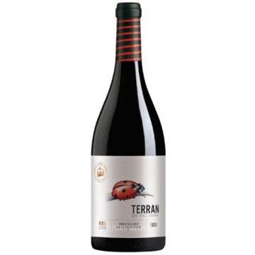 Terran de Vallobera Negre 75cl 2017 