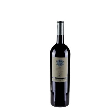 Embruix de Vall Llach magnum 150cl 2021