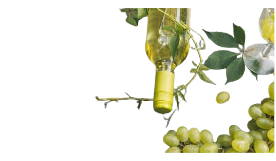 Verdejo Proefbox: fris & fruitig.